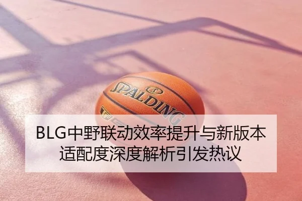 BLG中野联动效率提升与新版本适配度深度解析引发热议